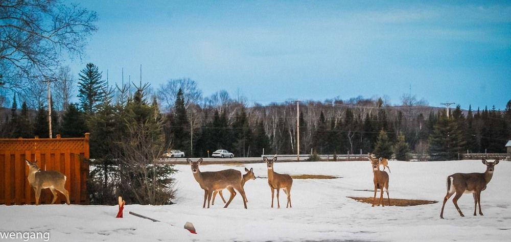 Auberge Godard Nominingue Exteriér fotografie